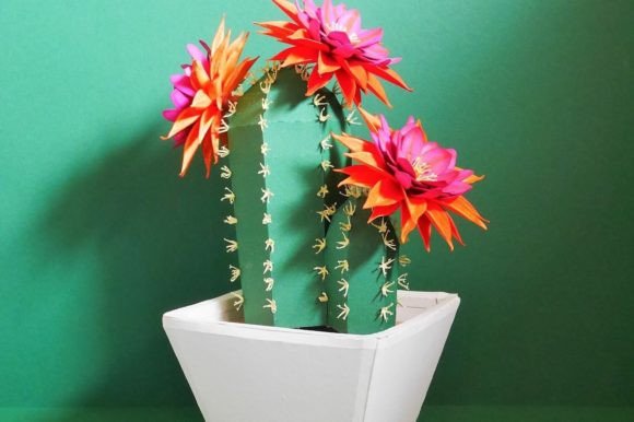 A Designer's Eye on the Echinopsis Cactus Embroidery File